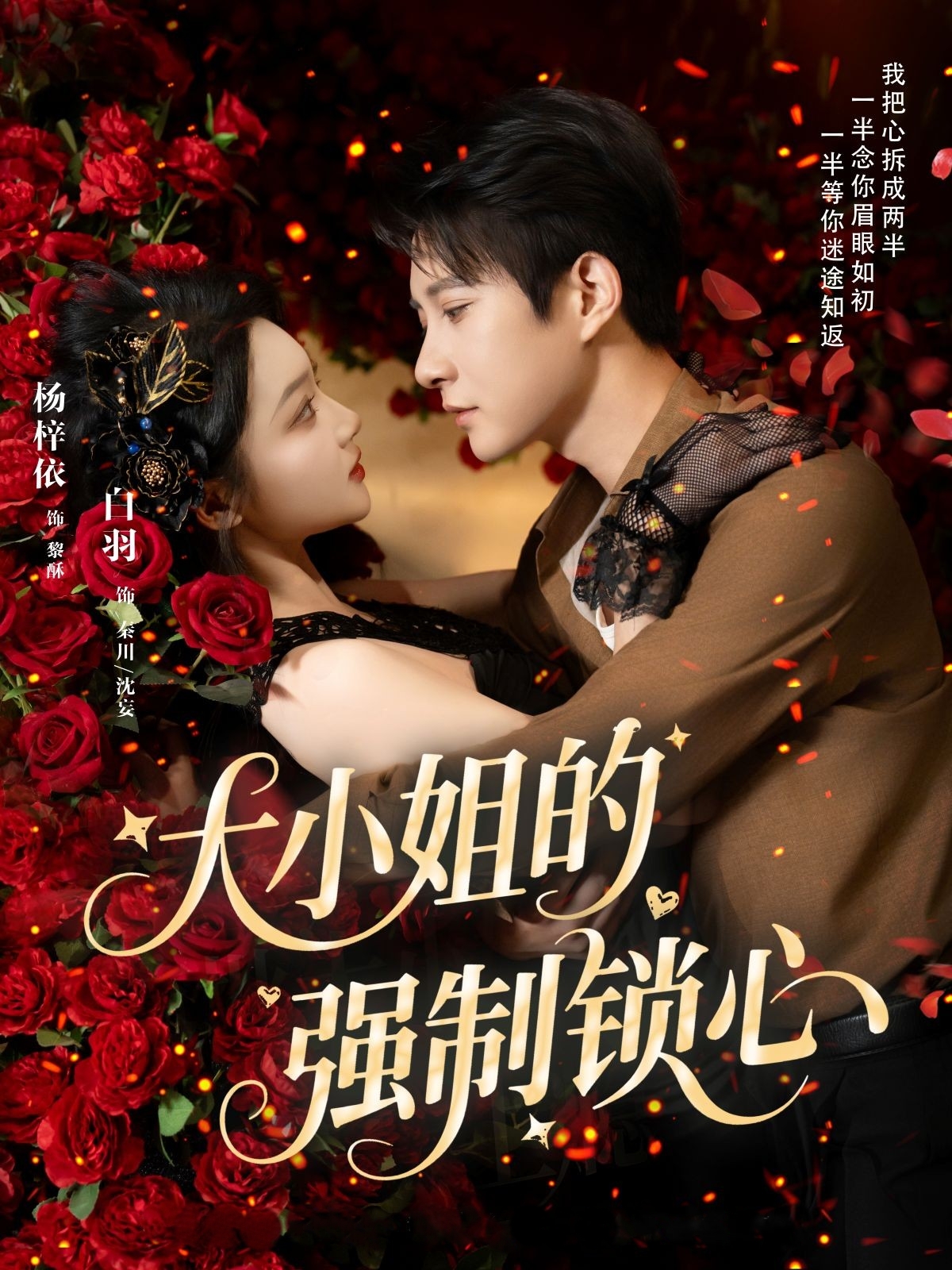 大小姐的强制锁心 第17集