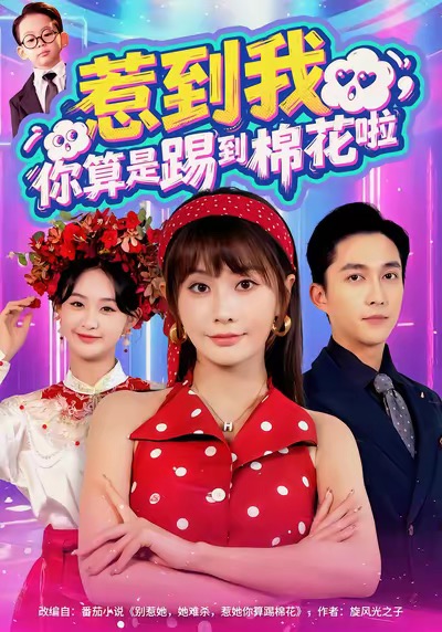 惹到我，你算是踢到棉花啦(全集)