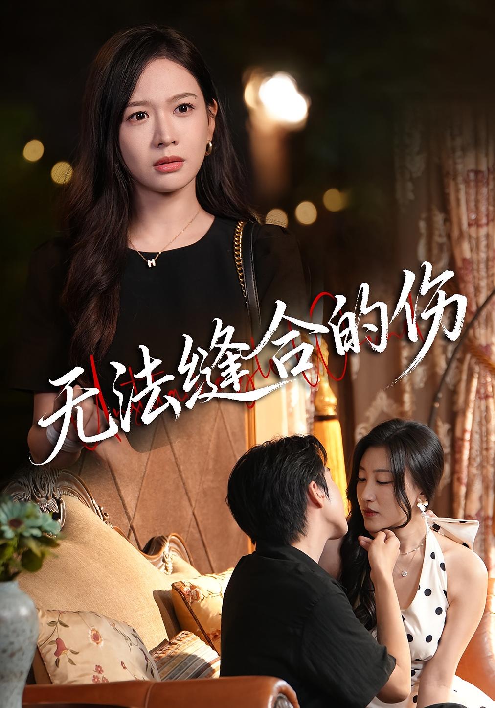无法缝合的伤 第12集