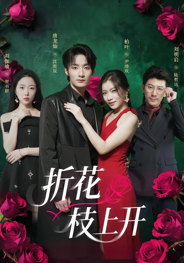 折花枝上开 第13集