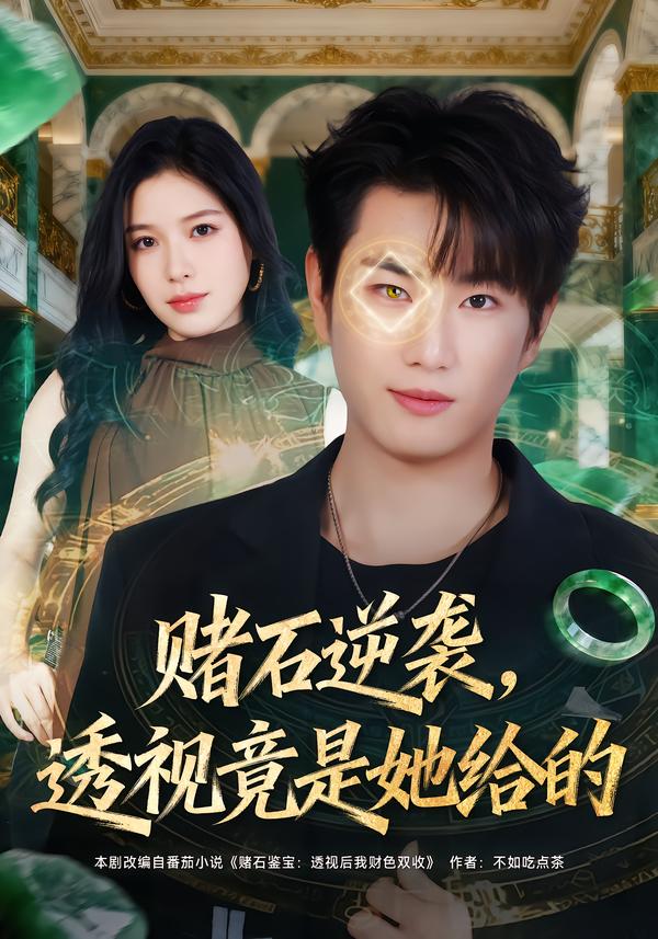 赌石逆袭，透视竟是她给的 第34集