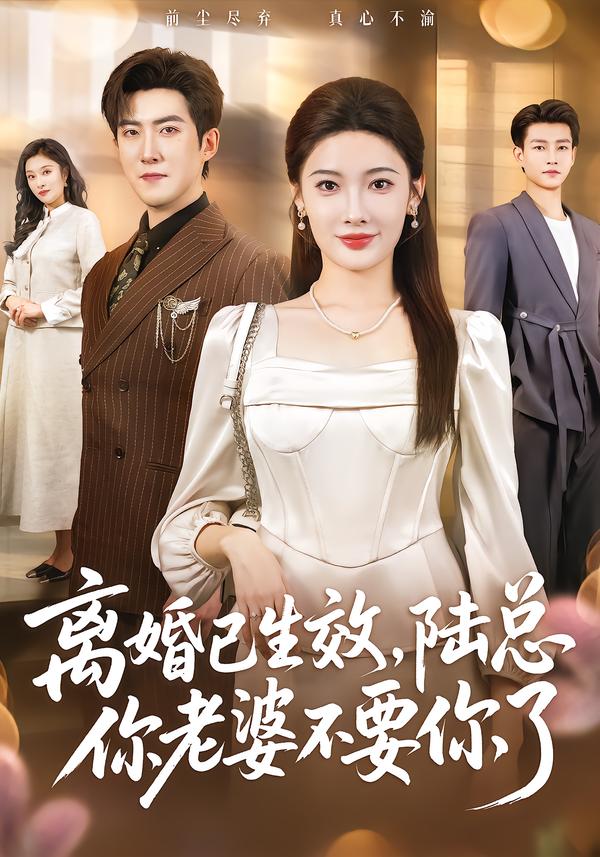 离婚已生效，陆总你老婆不要你了(全集)