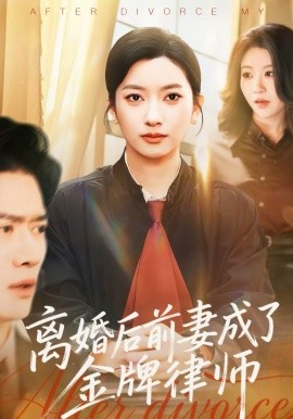 离婚后前妻成了金牌律师(全集)