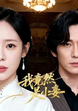 我竟然是小妾 第08集