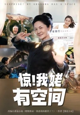 惊！我姥有空间 第44集