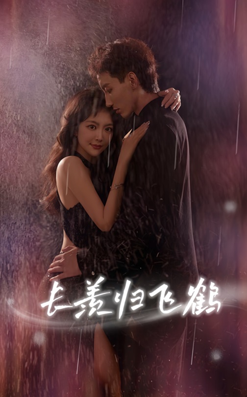 长羡归飞鹤(全集)